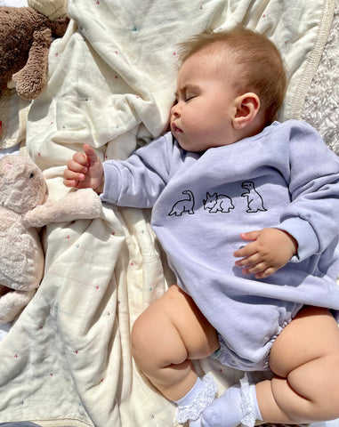 Dinosaur Embroidered Romper